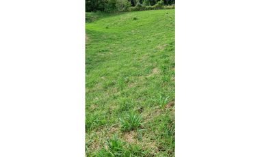 Lote a borde de vía Pereira Armenia, Condina