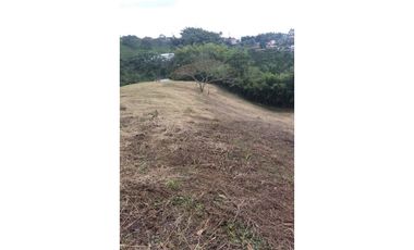 Lote a borde de vía Pereira Armenia, Condina