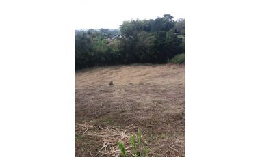 Lote a borde de vía Pereira Armenia, Condina