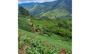 Finca cafetera en Santuario, Risaralda