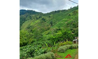 Finca cafetera en Santuario, Risaralda