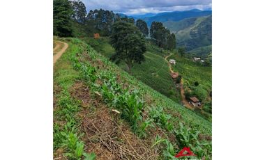 Finca cafetera en Santuario, Risaralda