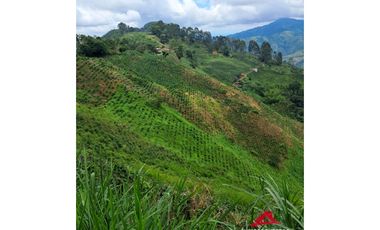 Finca cafetera en Santuario, Risaralda