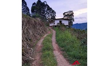 Finca cafetera en Santuario, Risaralda