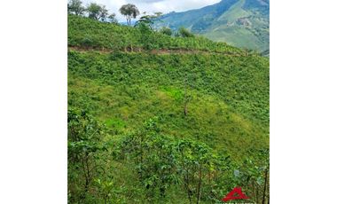 Finca cafetera en Santuario, Risaralda