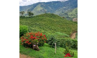 Finca cafetera en Santuario, Risaralda