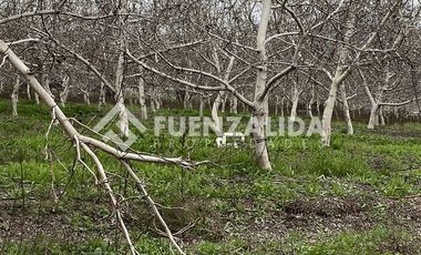 Parcela en Venta en Santa Teresa / El Colorado