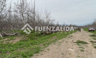Parcela en Venta en Santa Teresa / El Colorado