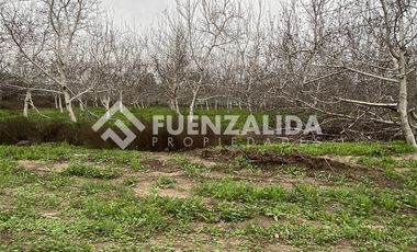 Parcela en Venta en Santa Teresa / El Colorado