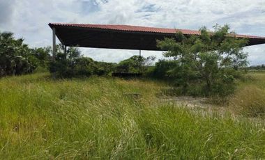 Rancho km 38 Campeche-Uayamon