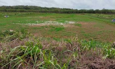 Rancho km 38 Campeche-Uayamon