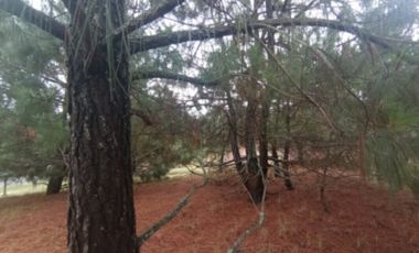 TERRENO EN ZACATLAN, PUEBLA  IDEAL PARA CABAÑA