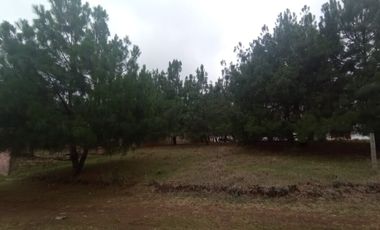 TERRENO EN ZACATLAN, PUEBLA  IDEAL PARA CABAÑA