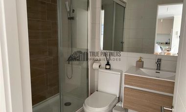 Departamento en Arriendo en Calle Puerto Montt 1641