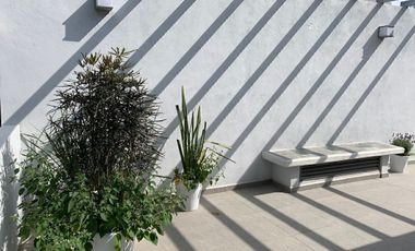 CONTADERO CASA EN CONDOMINIO EN RENTA  CON TERRAZA Y JARDÍN