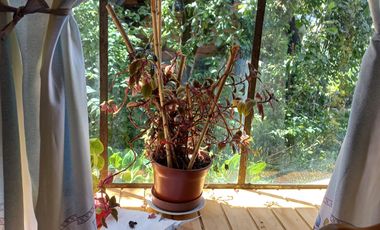 GRAN TERRENO 600MT2 EN CASCO HISTÓRICO EN COYHAIQUE