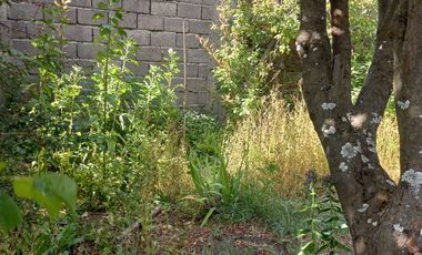 GRAN TERRENO 600MT2 EN CASCO HISTÓRICO EN COYHAIQUE