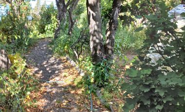 GRAN TERRENO 600MT2 EN CASCO HISTÓRICO EN COYHAIQUE