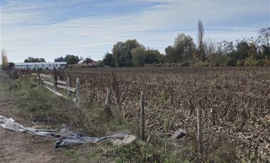 Parcela en Venta en Fundo San Jose del Carmen y Pupilla