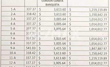 TERRENOS EN VENTA EN SAN BARTOLO COYOTEPEC - (3)