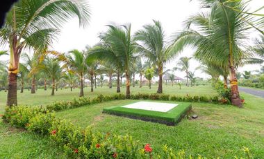 TERRENOS EN VENTA COJIMIES PEDERNALES 1622 M2