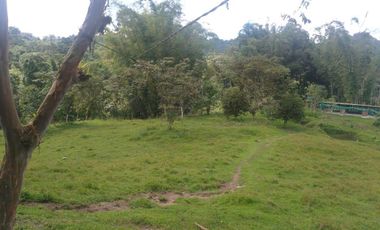 LOS BANCOS, EN VENTA FINCA AGRICOLA Y GANADERA