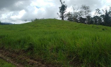 LOS BANCOS, EN VENTA FINCA AGRICOLA Y GANADERA