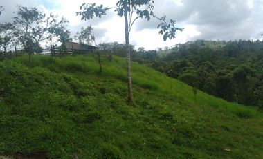 LOS BANCOS, EN VENTA FINCA AGRICOLA Y GANADERA