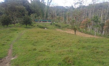 LOS BANCOS, EN VENTA FINCA AGRICOLA Y GANADERA