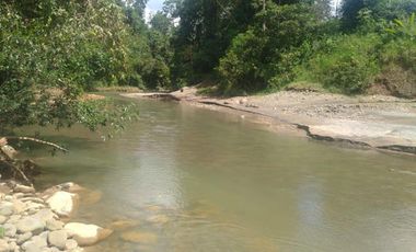 LOS BANCOS, EN VENTA FINCA AGRICOLA Y GANADERA