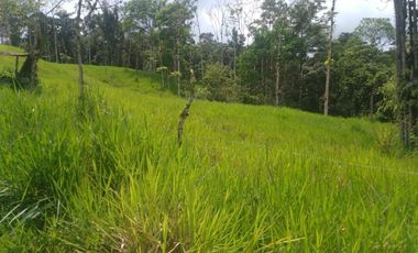 LOS BANCOS, EN VENTA FINCA AGRICOLA Y GANADERA