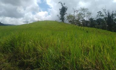 LOS BANCOS, EN VENTA FINCA AGRICOLA Y GANADERA