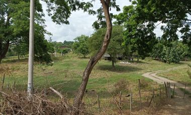 Finca en venta en Tosagua, Manabí