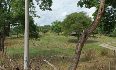 Finca en venta en Tosagua, Manabí