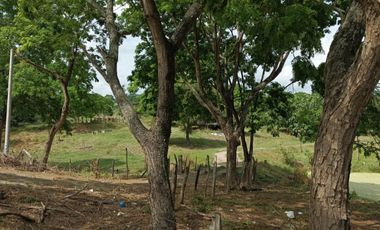 Finca en venta en Tosagua, Manabí