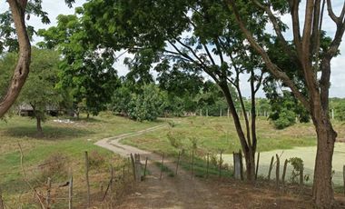 Finca en venta en Tosagua, Manabí