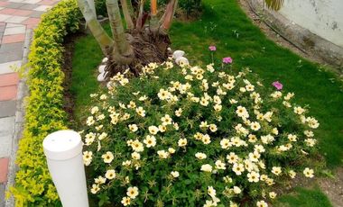 TONSUPA VENTA CASA MODERNA 4 HAB. 95.000 DE OPORTUNIDAD