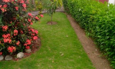 TONSUPA VENTA CASA MODERNA 4 HAB. 95.000 DE OPORTUNIDAD