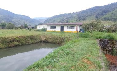 FINCA EN VENTA  94 Hect, El Chaco