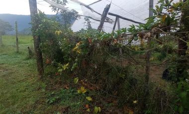 FINCA EN VENTA  94 Hect, El Chaco
