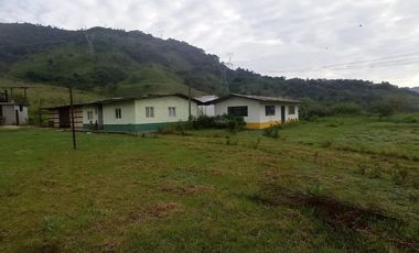 FINCA EN VENTA  94 Hect, El Chaco