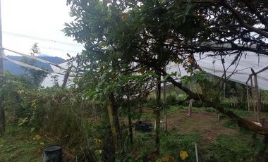 FINCA EN VENTA  94 Hect, El Chaco