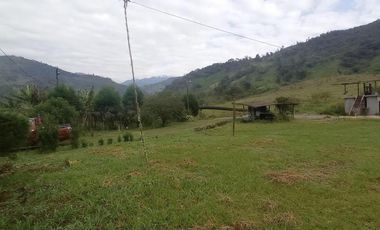 FINCA EN VENTA  94 Hect, El Chaco
