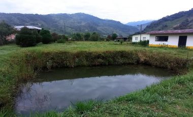 FINCA EN VENTA  94 Hect, El Chaco