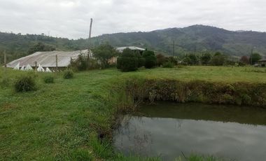 FINCA EN VENTA  94 Hect, El Chaco