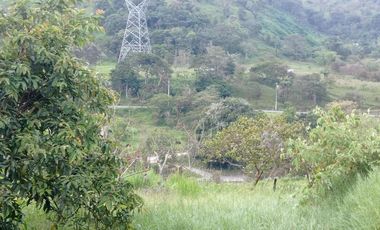 FINCA EN VENTA  94 Hect, El Chaco