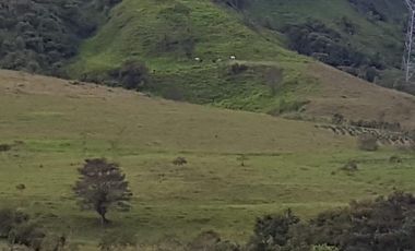 FINCA EN VENTA  94 Hect, El Chaco