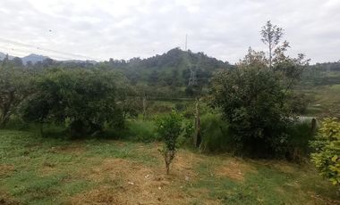 FINCA EN VENTA  94 Hect, El Chaco