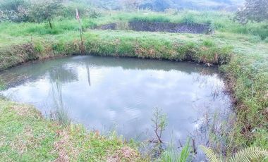 FINCA EN VENTA  94 Hect, El Chaco