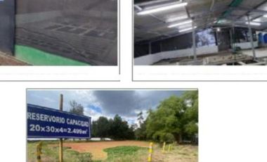 CAYAMBE TERRENO EN VENTA 7,8 ha